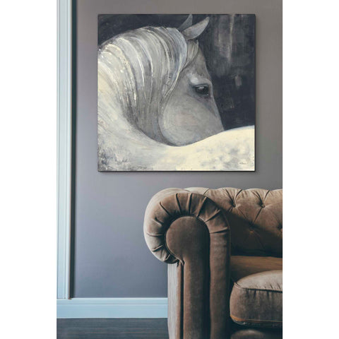 Image of 'Bijou' by Albena Hristova, Canvas Wall Art,37 x 37