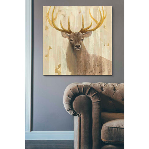 Image of 'Forest King' by Albena Hristova, Canvas Wall Art,37 x 37