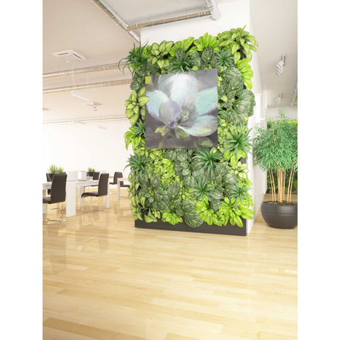 Image of 'Jump II' by Albena Hristova, Canvas Wall Art,37 x 37