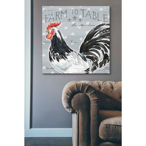 Image of 'Roosters Call III' by Daphne Brissonet, Canvas Wall Art,37 x 37