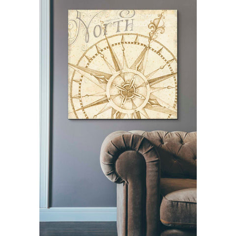 Image of 'Coast to Coast Sepia I' by Daphne Brissonet, Canvas Wall Art,37 x 37