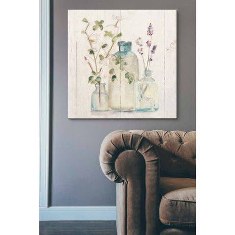 Image of 'Blossoms on Birch V' by Cheri Blum, Canvas Wall Art,37 x 37