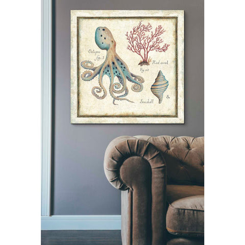 Image of 'Oceanography I' by Daphne Brissonet, Canvas Wall Art,37 x 37