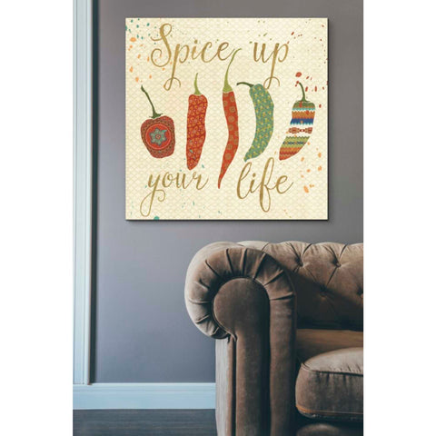 Image of 'Mexican Fiesta V' by Veronique Charron, Canvas Wall Art,37 x 37