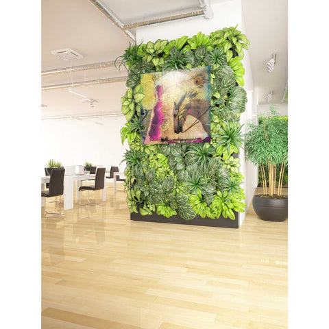 Image of 'White Horse' by Elena Ray Canvas Wall Art,37 x 37