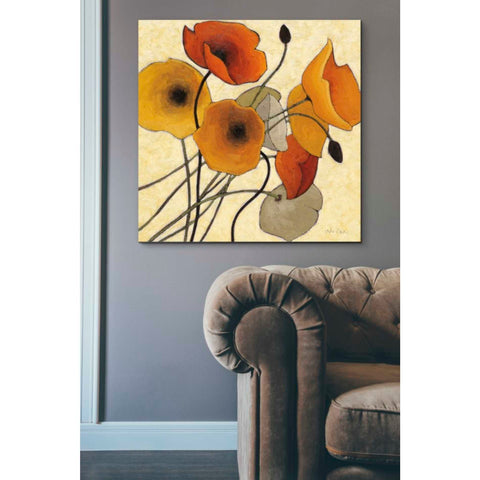 Image of 'Pumpkin Poppies II' by Shirley Novak, Canvas Wall Art,37 x 37