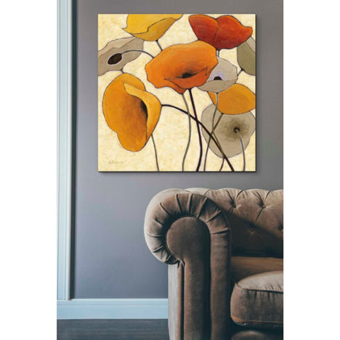 Image of 'Pumpkin Poppies III' by Shirley Novak, Canvas Wall Art,37 x 37