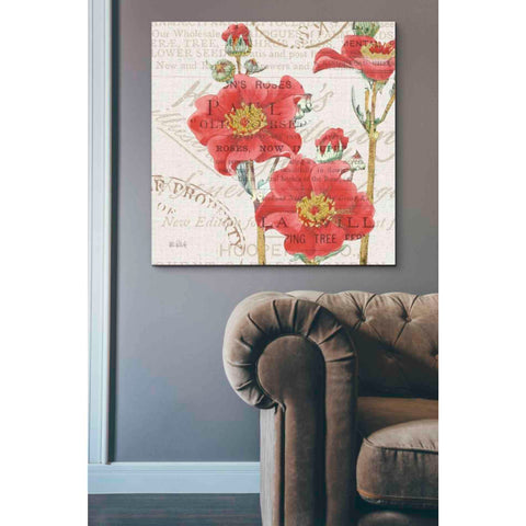 Image of 'Bookshelf Botanical V' by Katie Pertiet, Canvas Wall Art,37 x 37