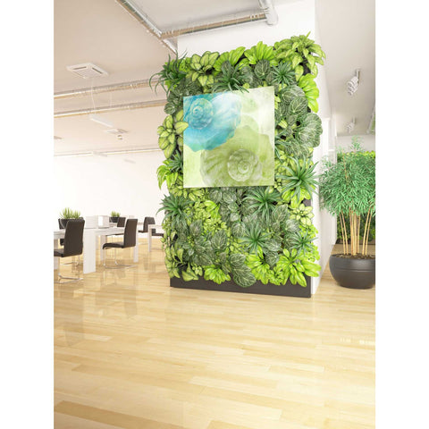 Image of 'Luminous Seashells 3' by Elena Ray Canvas Wall Art,37 x 37