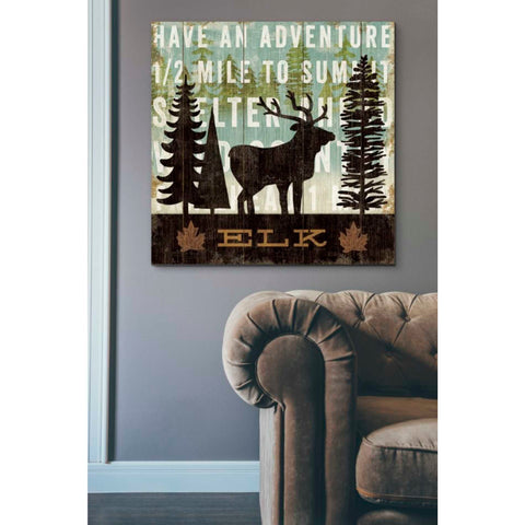 Image of 'Simple Living Elk' by Michael Mullan, Canvas Wall Art,37 x 37