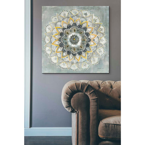 Image of 'Sunburst' by Danhui Nai, Canvas Wall Art,37 x 37
