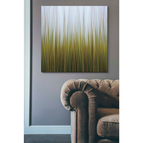 Image of 'Sea Grass Canvas' by Katherine Gendreau, Giclee Canvas Wall Art