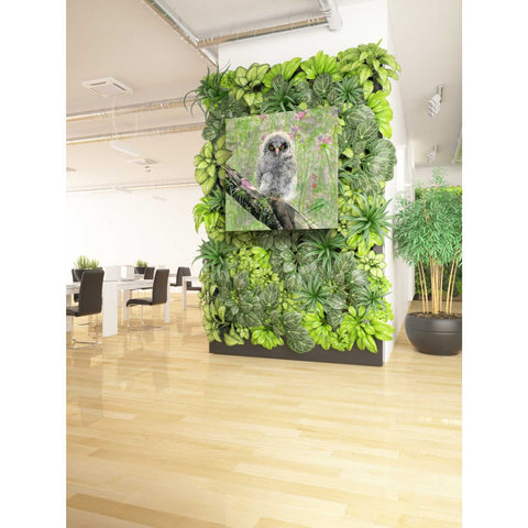 Image of 'Owlet' by River Han, Giclee Canvas Wall Art