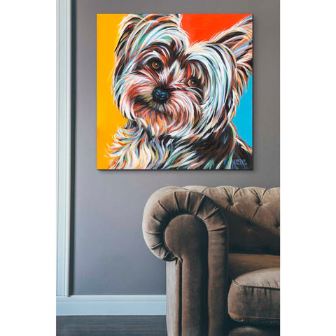 Image of 'Sweet Yorkie II' by Carolee Vitaletti Giclee Canvas Wall Art