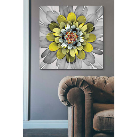 Image of 'Fractal Blooms IV' by James Burghardt Giclee Canvas Wall Art