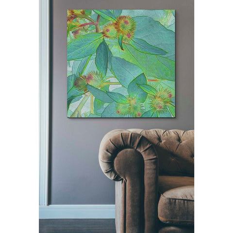 Image of 'Prickley Tiles I' by James Burghardt Giclee Canvas Wall Art