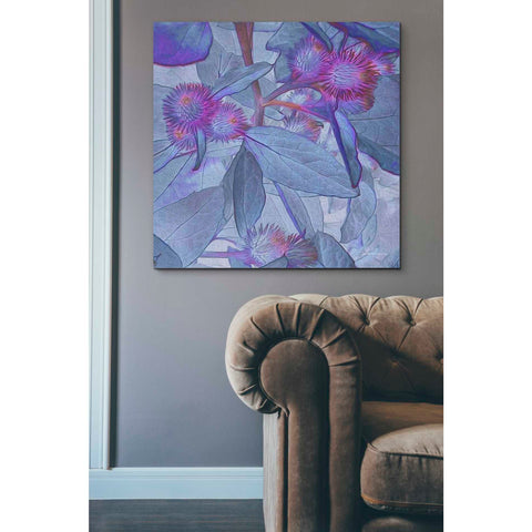 Image of 'Prickley Tiles IV' by James Burghardt Giclee Canvas Wall Art