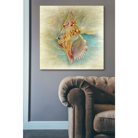 Image of 'Aquatica I' by Steve Hunziker Giclee Canvas Wall Art