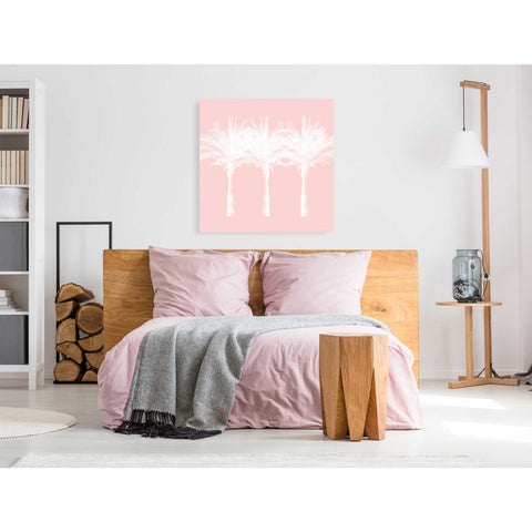 Image of 'White And Pink Palm Trees' by Linda Woods, Canvas Wall Art,37 x 37