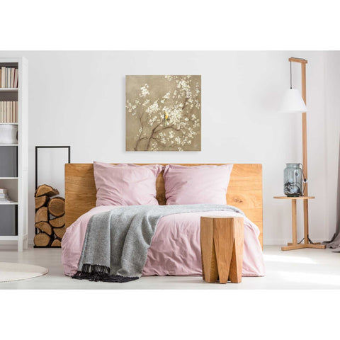 Image of 'White Cherry Blossom I Neutral' by Danhui Nai, Canvas Wall Art,37 x 37