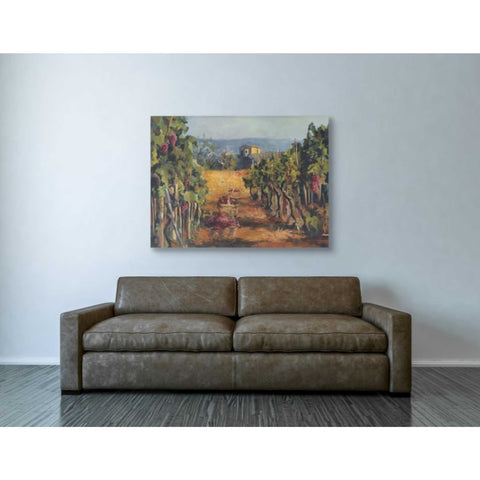 Image of 'Rhone Valley Vineyard' by Marilyn Hageman, Canvas Wall Art,40 x 54
