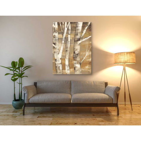 Image of 'Wandering Through the Birches II' by Albena Hristova, Canvas Wall Art,40 x 54