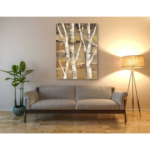 Image of 'Wandering Through the Birches I' by Albena Hristova, Canvas Wall Art,40 x 54