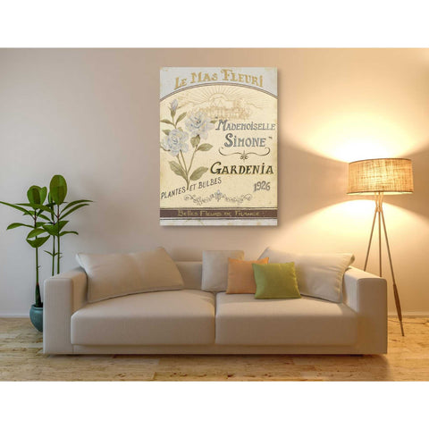 Image of 'French Seed Packet IV' by Daphne Brissonet, Canvas Wall Art,40 x 54