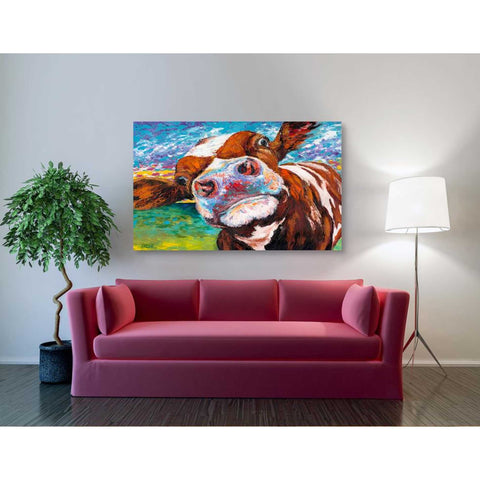 Image of 'Curious Cow I' by Carolee Vitaletti Giclee Canvas Wall Art