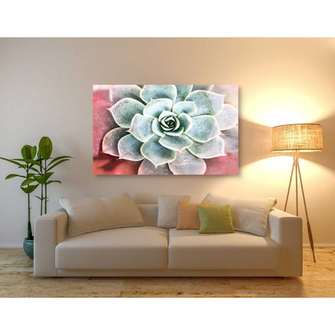 Image of 'Succulent Garden' by Irena Orlov, Canvas Wall Art,54 x 40