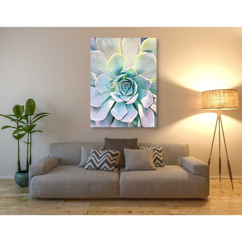 Image of 'Unique Succulent' by Irena Orlov, Canvas Wall Art,40 x 54
