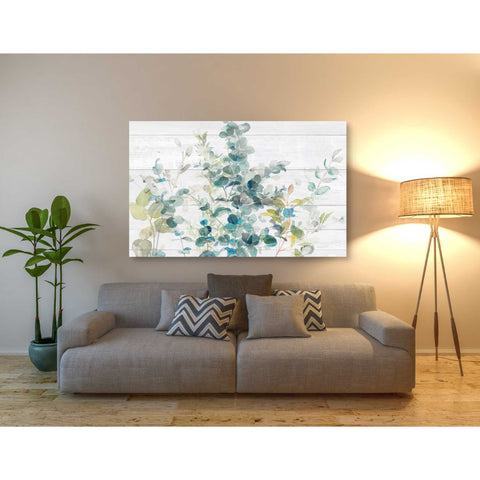 Image of 'Eucalyptus I on Shiplap Crop' by Danhui Nai, Canvas Wall Art,40 x 60
