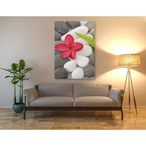 Image of 'Wabi-Sabi I' Canvas Wall Art,40 x 60