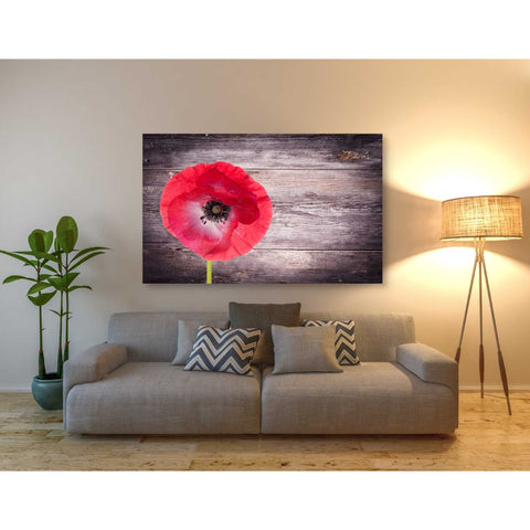 Image of 'Luxury On Rustic' Canvas Wall Art,40 x 60