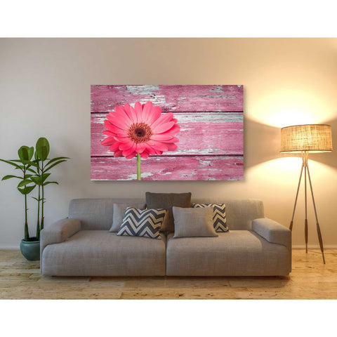 Image of 'Pink Beginnings' Canvas Wall Art,40 x 60