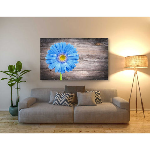 Image of 'Serenity' Canvas Wall Art,40 x 60