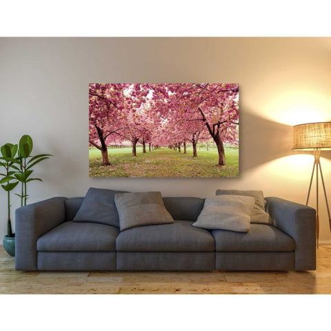 Image of 'Hall of Cherries' by Katherine Gendreau, Giclee Canvas Wall Art