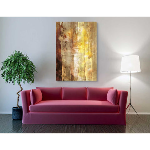 Image of 'Golden Glow I' by Sisa Jasper Canvas Wall Art,60 x 40