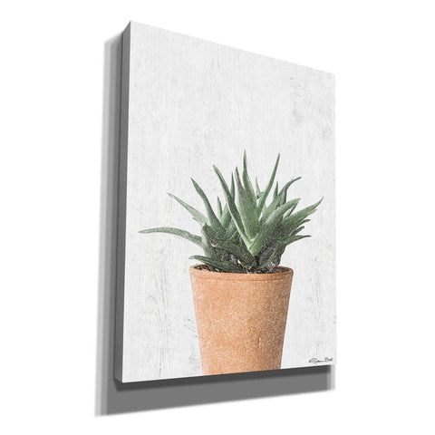 Image of 'Succulents I' by Susan Ball, Canvas Wall Art