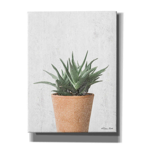 Image of 'Succulents I' by Susan Ball, Canvas Wall Art
