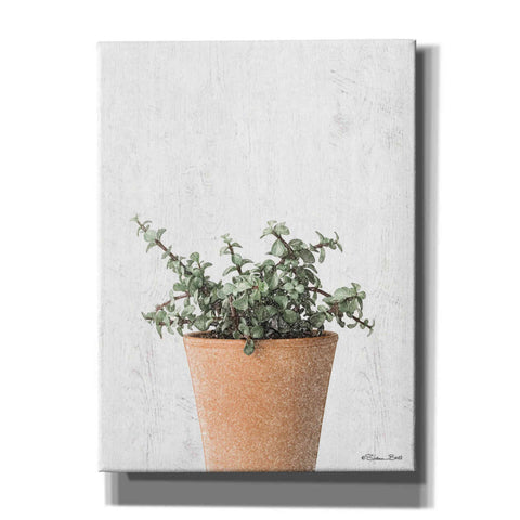 Image of 'Succulents II' by Susan Ball, Canvas Wall Art