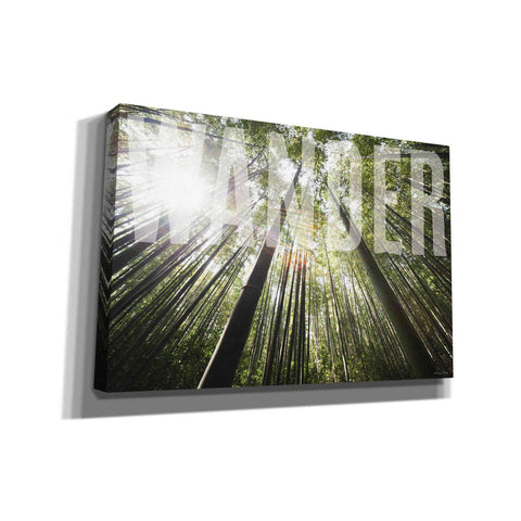 Image of 'Wander' by Susan Ball, Canvas Wall Art