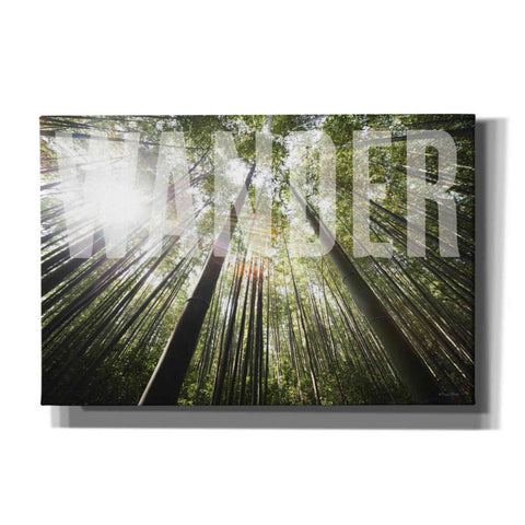 Image of 'Wander' by Susan Ball, Canvas Wall Art