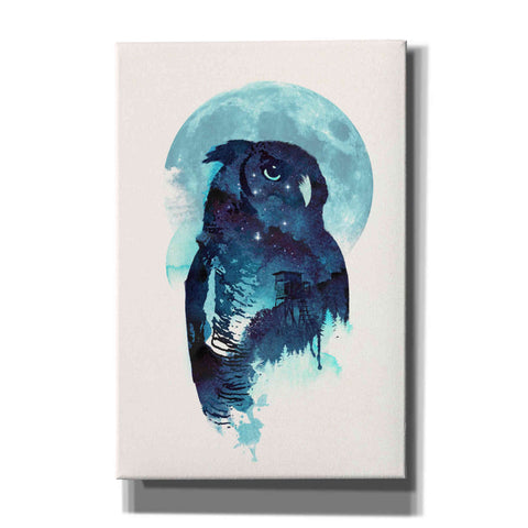 Image of 'Midnight Owl' by Robert Farkas, Canvas Wall Art