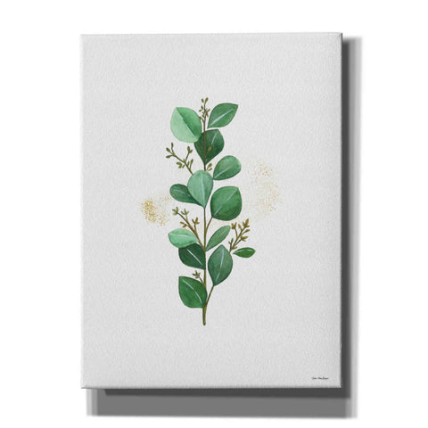 Image of 'Eucalyptus II' by Seven Trees Design, Canvas Wall Art