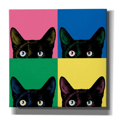 Image of 'Curiosity Pop' by Jon Bertelli, Canvas Wall Art