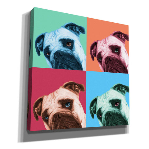 Image of 'Que Pasa Pop' by Jon Bertelli, Canvas Wall Art