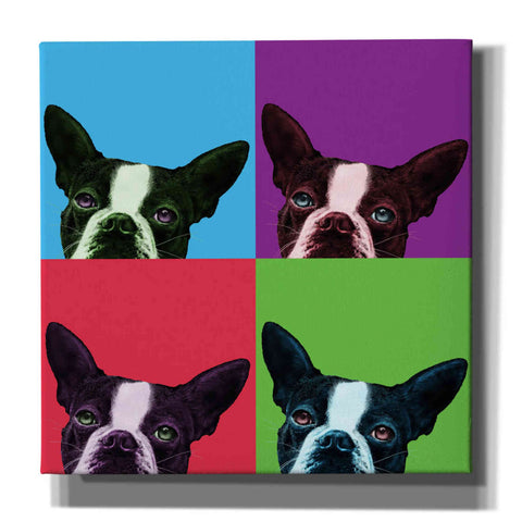 Image of 'Loyalty Pop' by Jon Bertelli, Canvas Wall Art