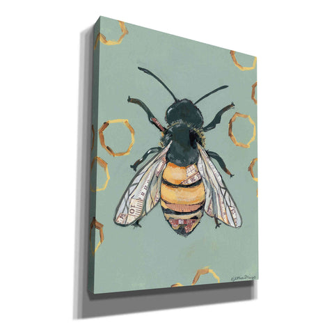 Image of 'Bee' by Jessica Mingo, Canvas Wall Art