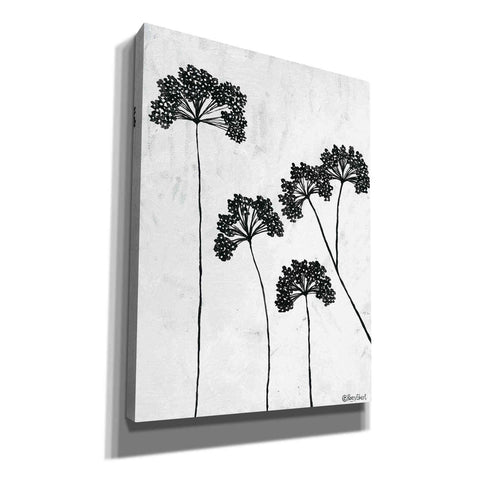 Image of 'Queen Anne's Lace II' by Roey Ebert, Canvas, Wall Art